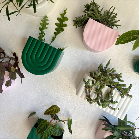 Elevate Your Home Decor with Wall-Mounted Plant Pots