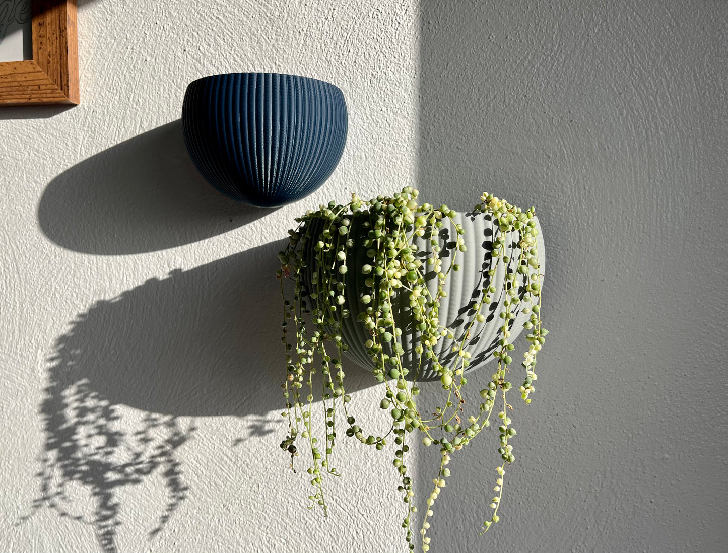 Ribbed Wall Mounted Plant Pot