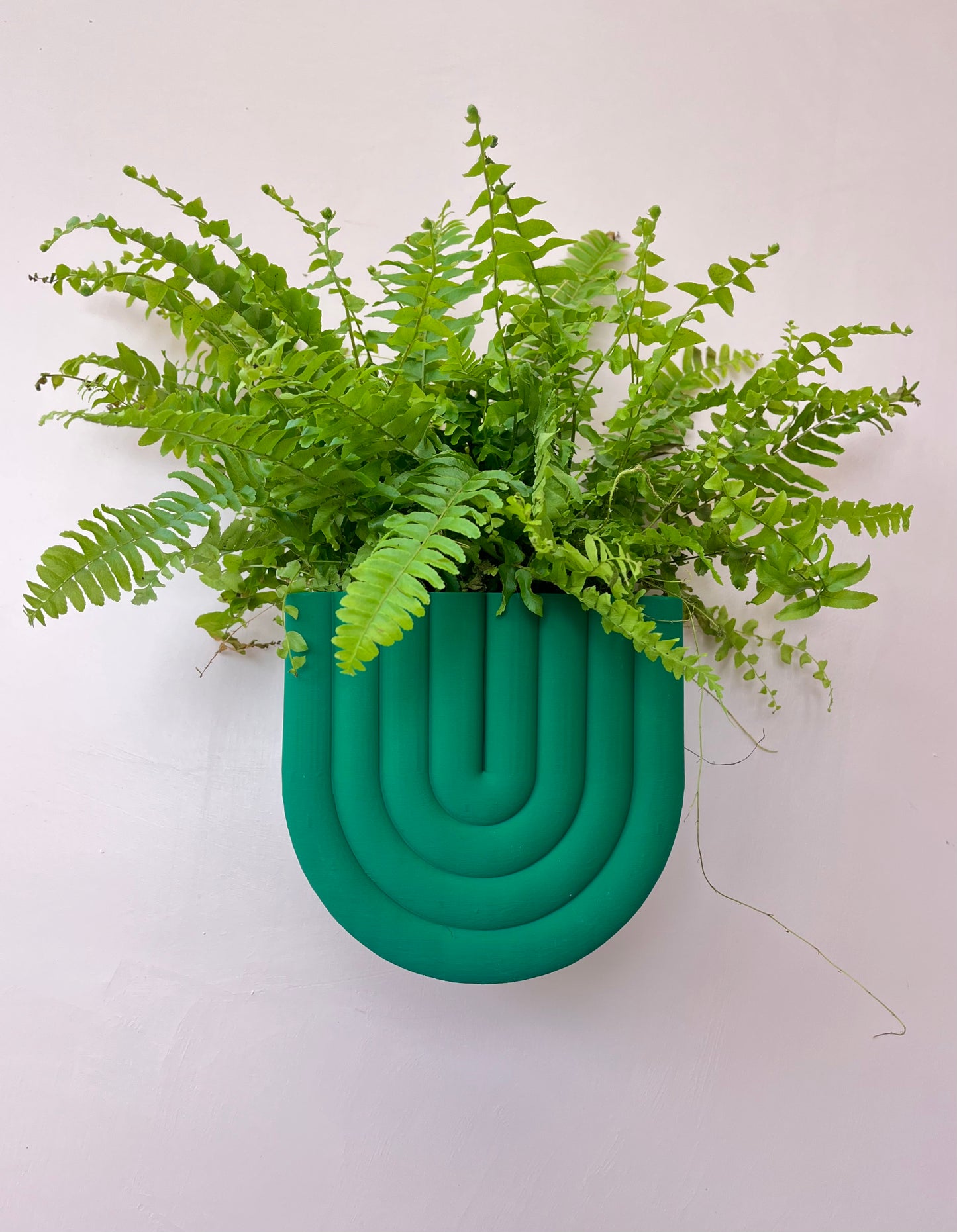 Rainbow Shaped Wall Mounted Plant Pot Indoor
