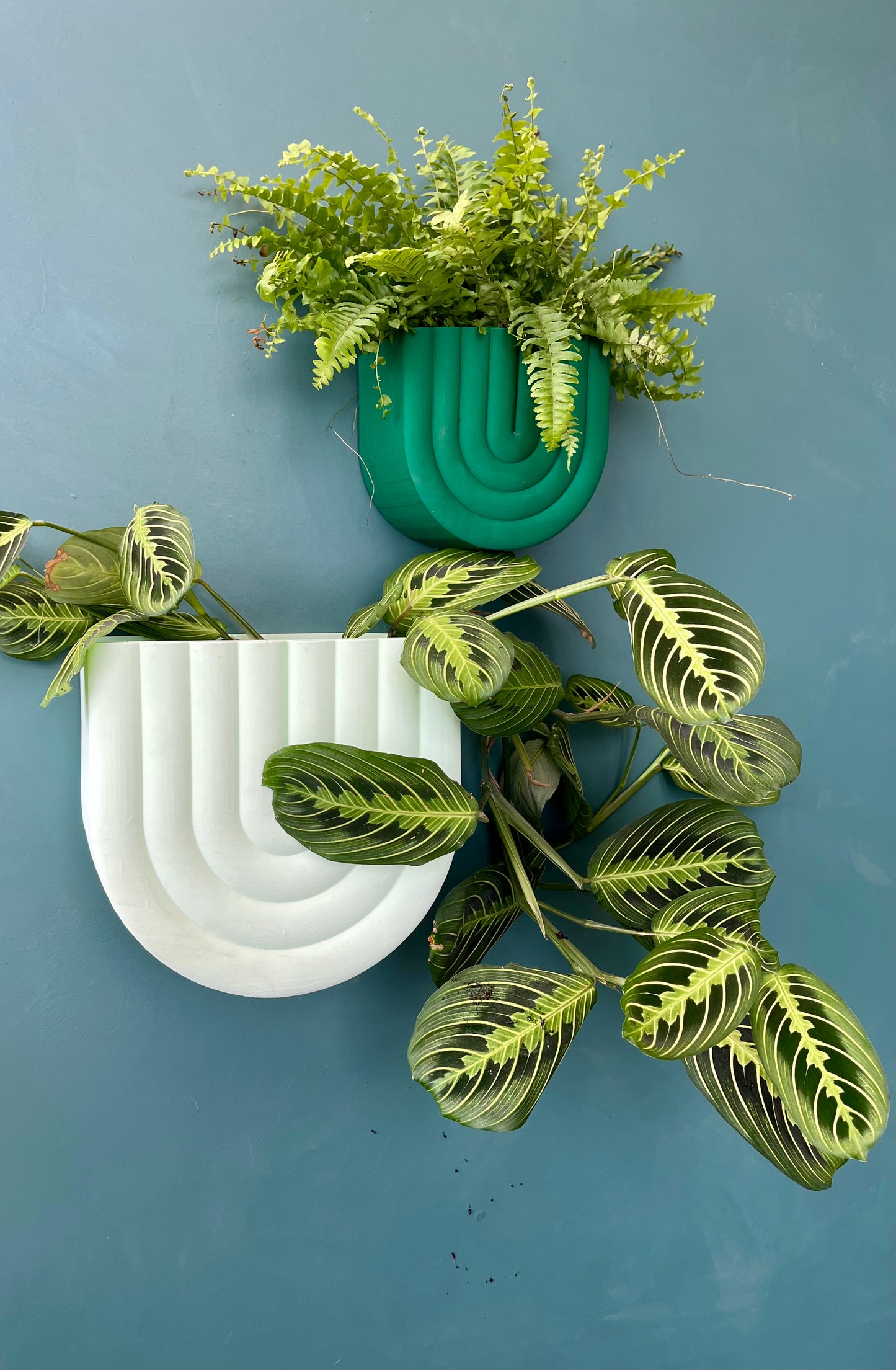Rainbow Shaped Wall Mounted Plant Pot Indoor