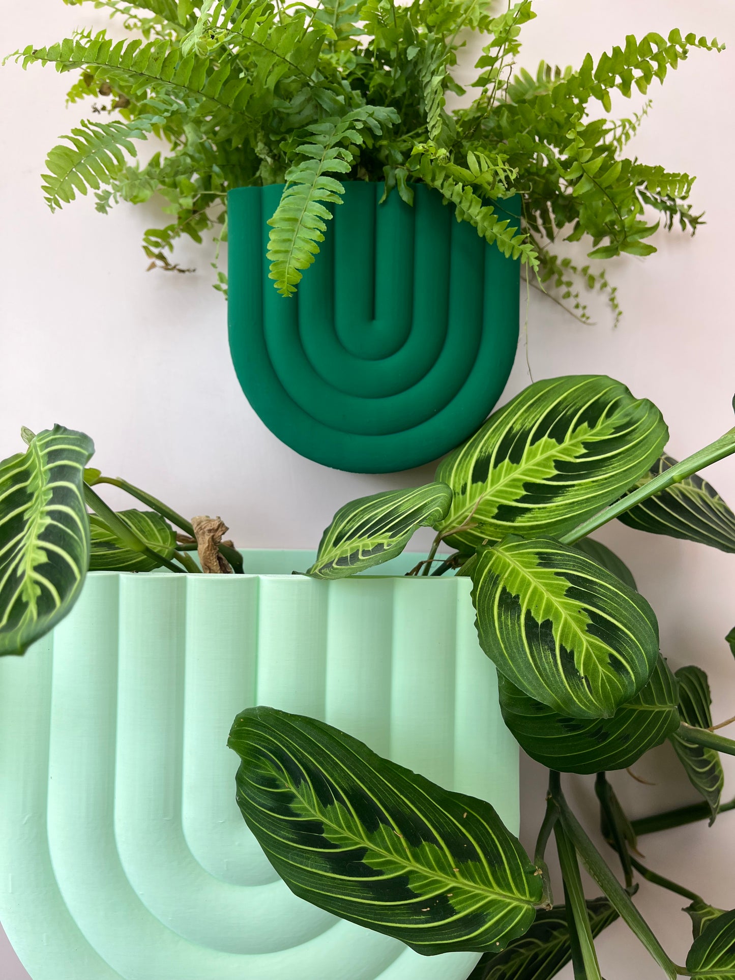 Rainbow Shaped Wall Mounted Plant Pot Indoor