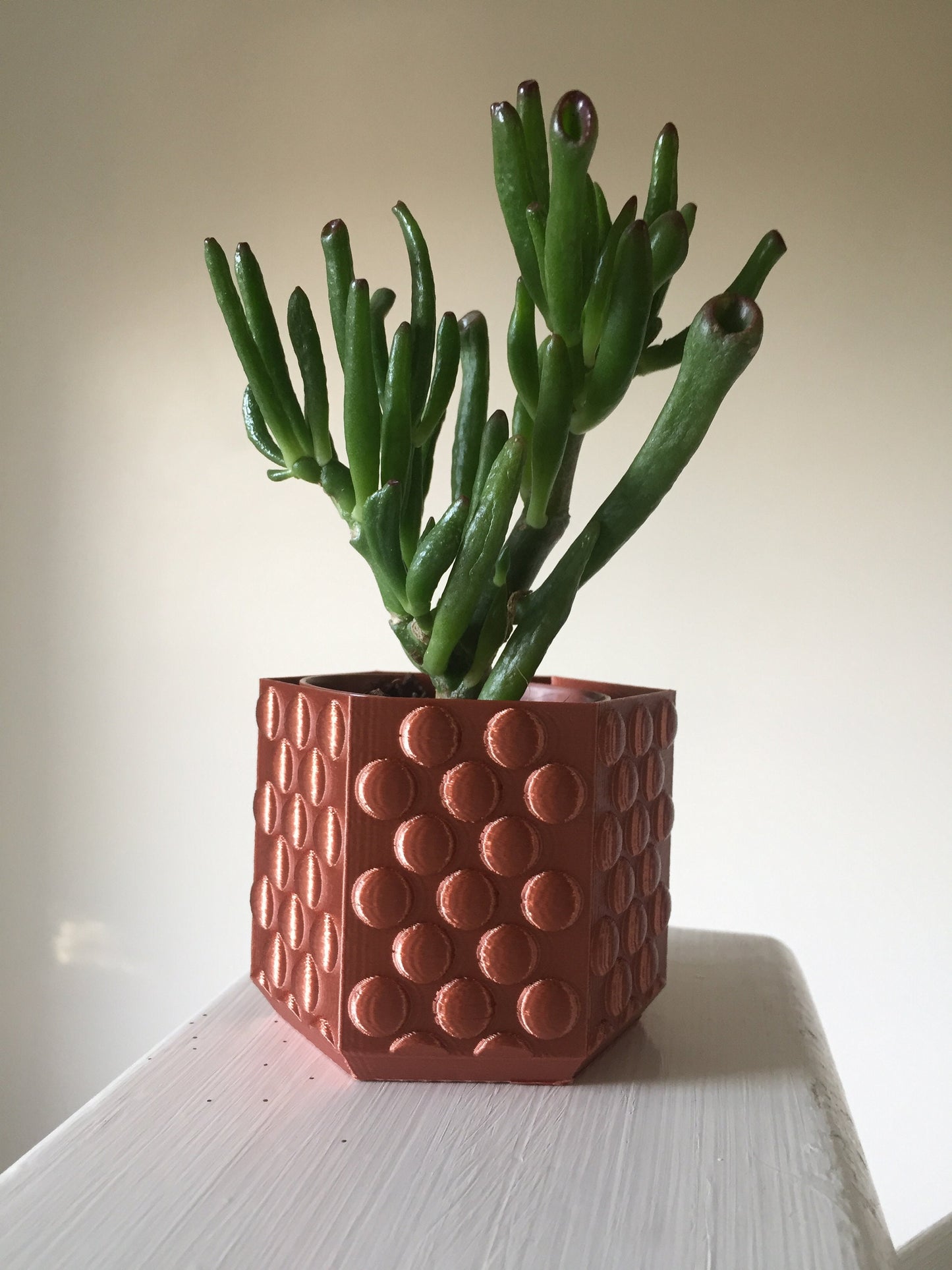 Bubble Textured Plant Pot