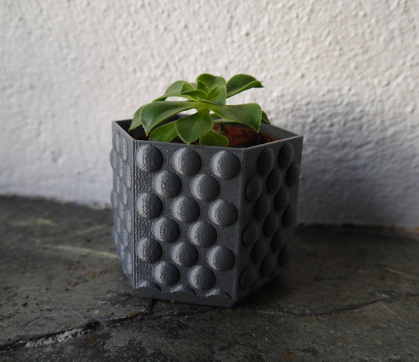 Bubble Textured Plant Pot