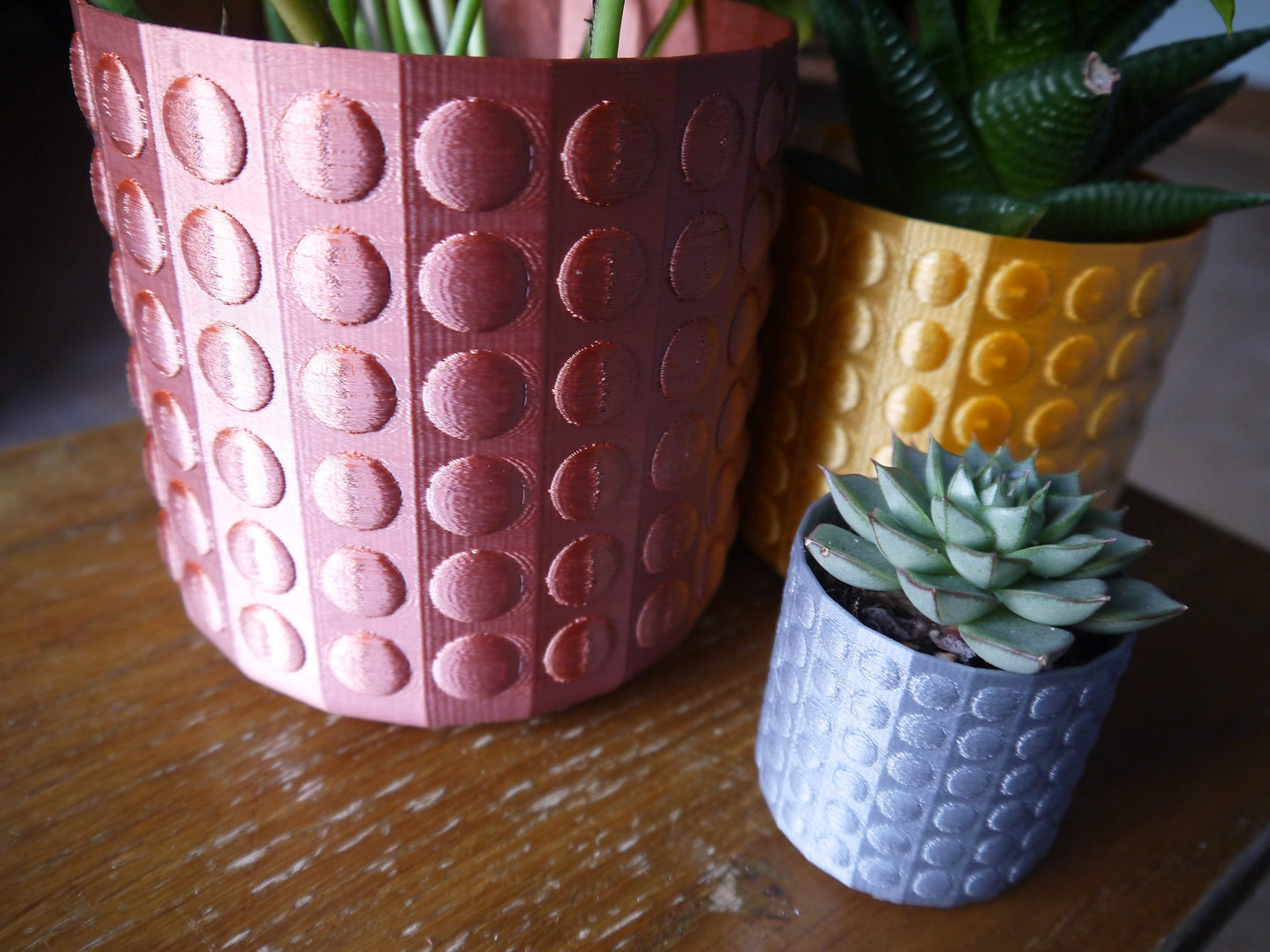 Bubble Textured Plant Pots