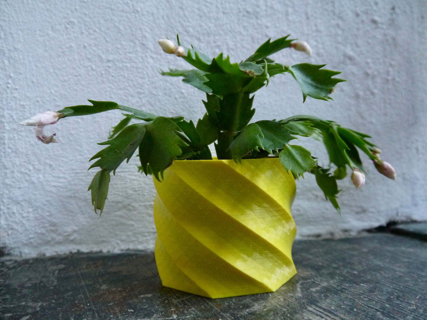 Geometric Twisted Plant Pot