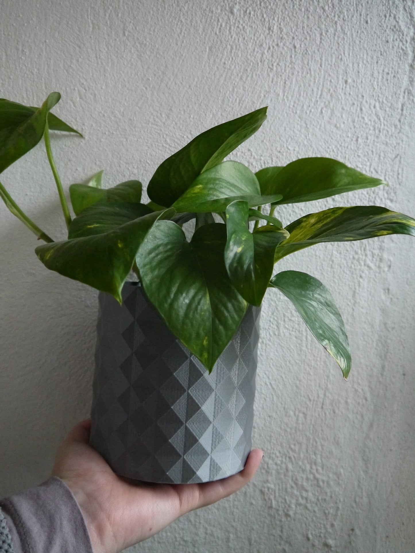 Geometric Spike Textured Plant Pot