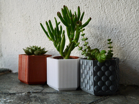 Set of Three Mini Plant Pots