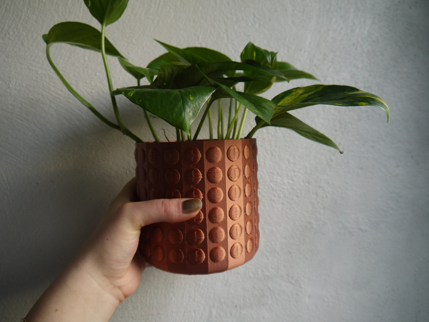 Bubble Textured Plant Pots