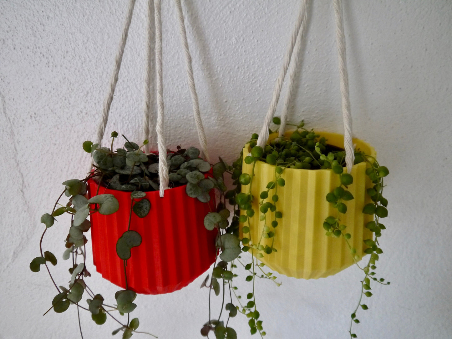 Hanging Plant Pot
