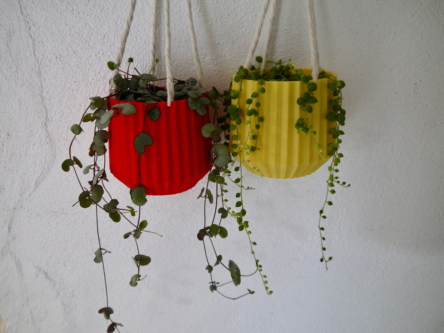 Hanging Plant Pot