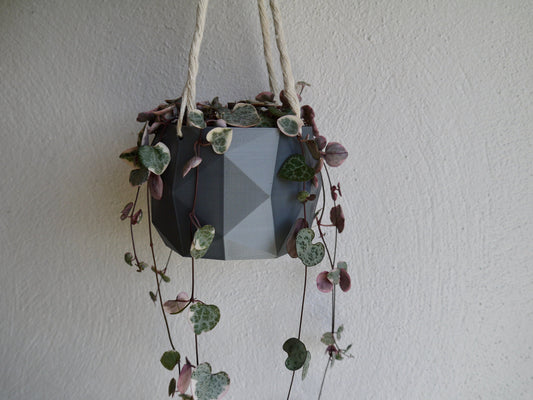 Hanging Plant Pot