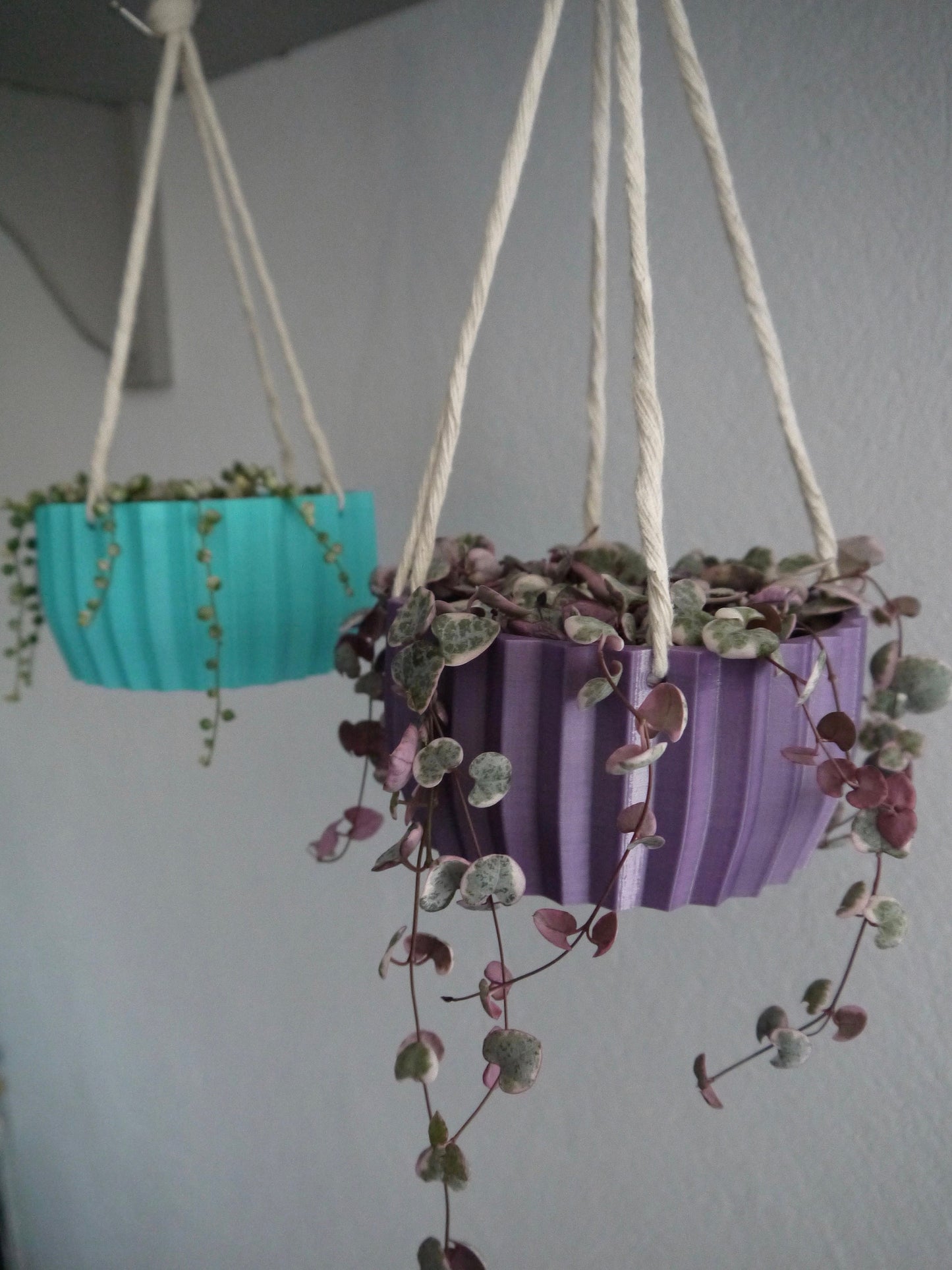 Shallow Succulent Hanging Plant Pot
