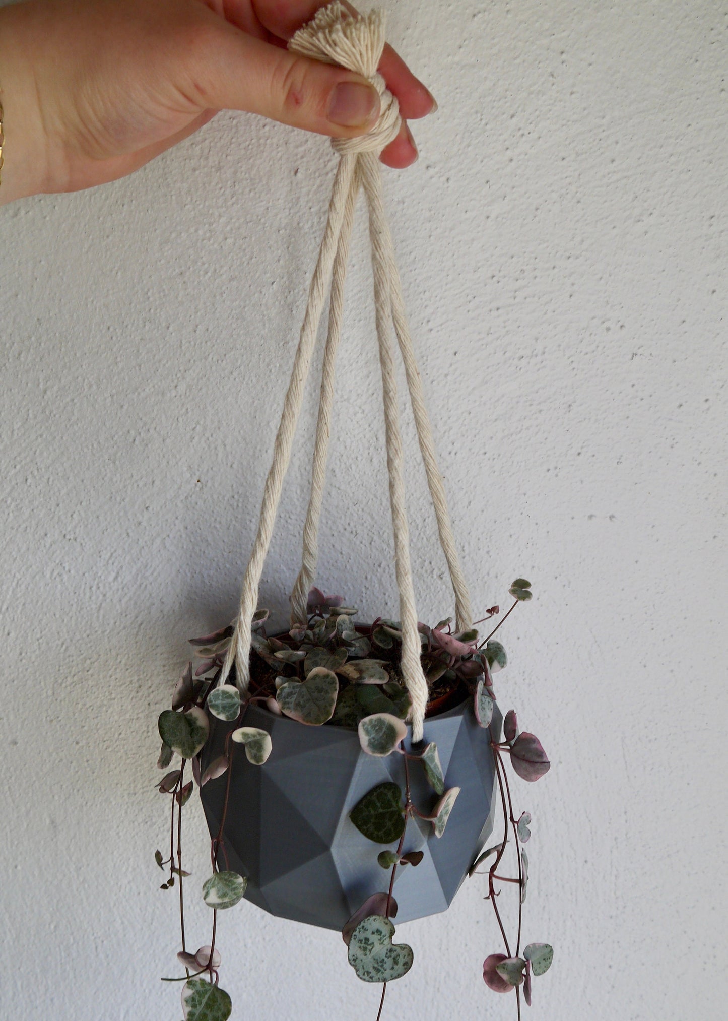 Hanging Plant Pot