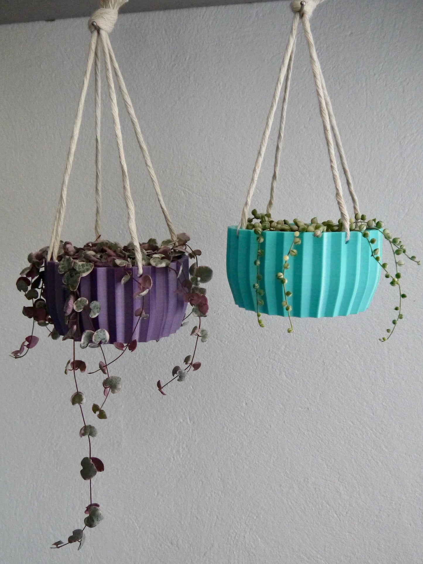 Shallow Succulent Hanging Plant Pot