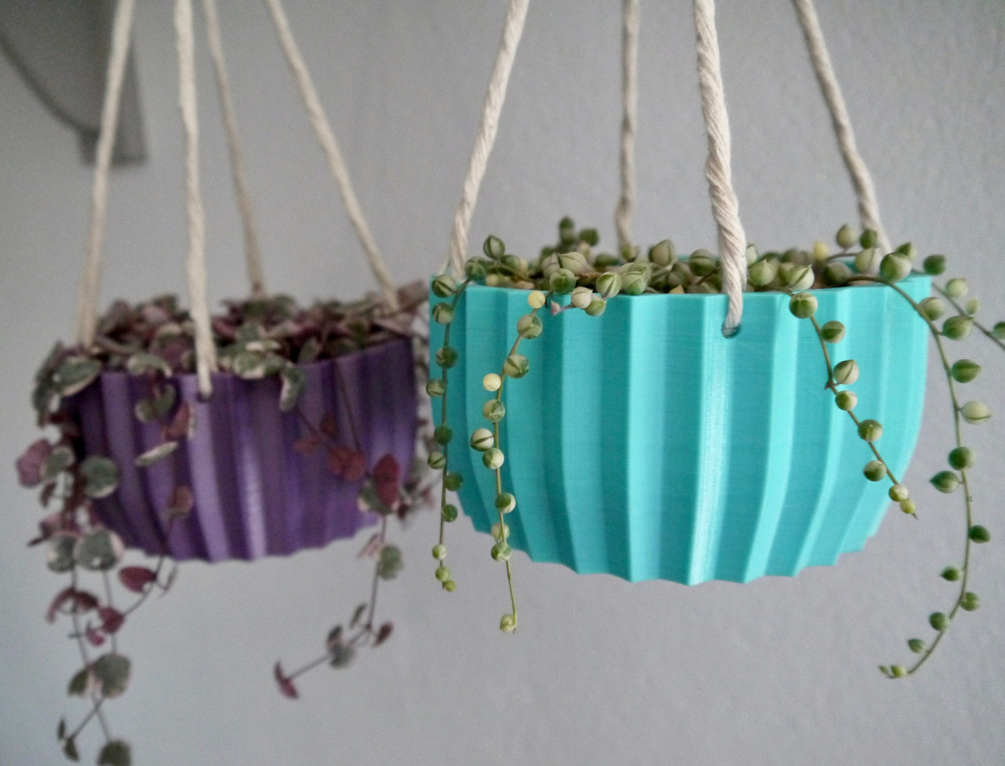 Shallow Succulent Hanging Plant Pot