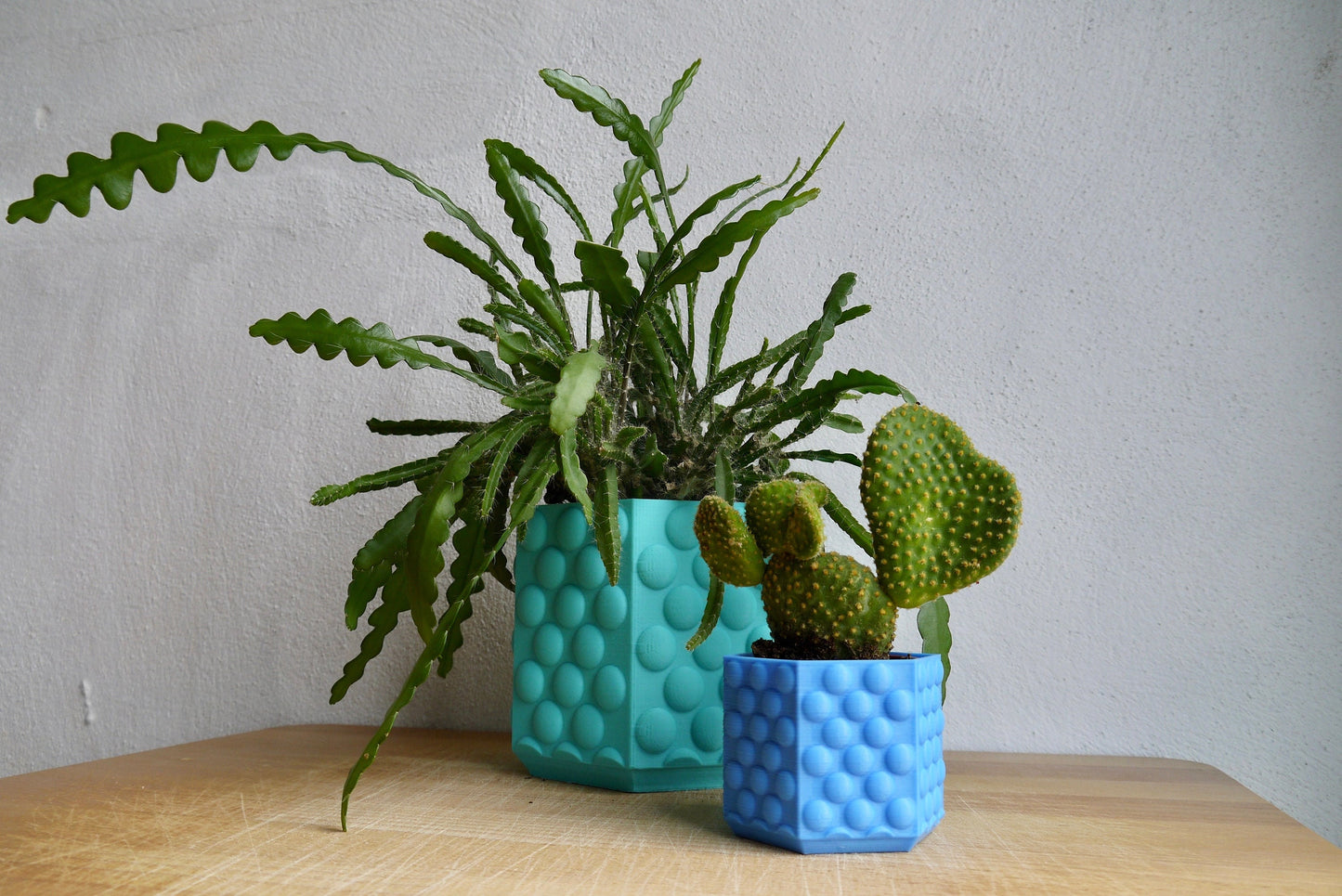 Bubble Textured Plant Pot