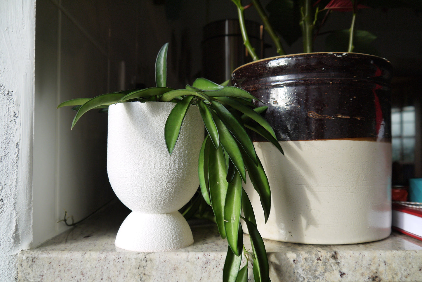 Concrete Effect Egg Cup Plant Pot