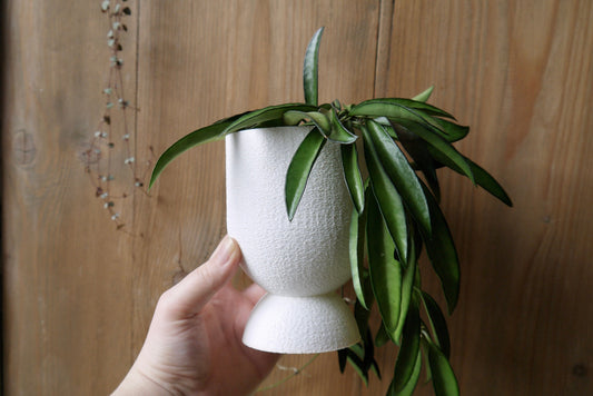 Concrete Effect Egg Cup Plant Pot