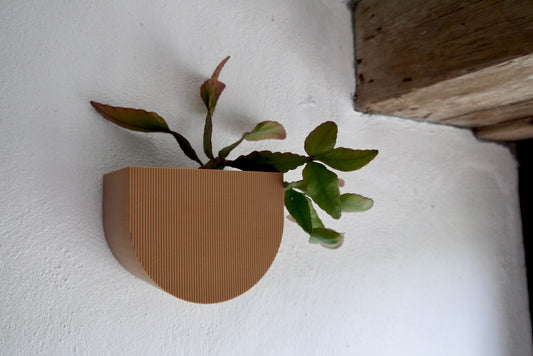 Brown wall mounted plant pot with trailing cactus