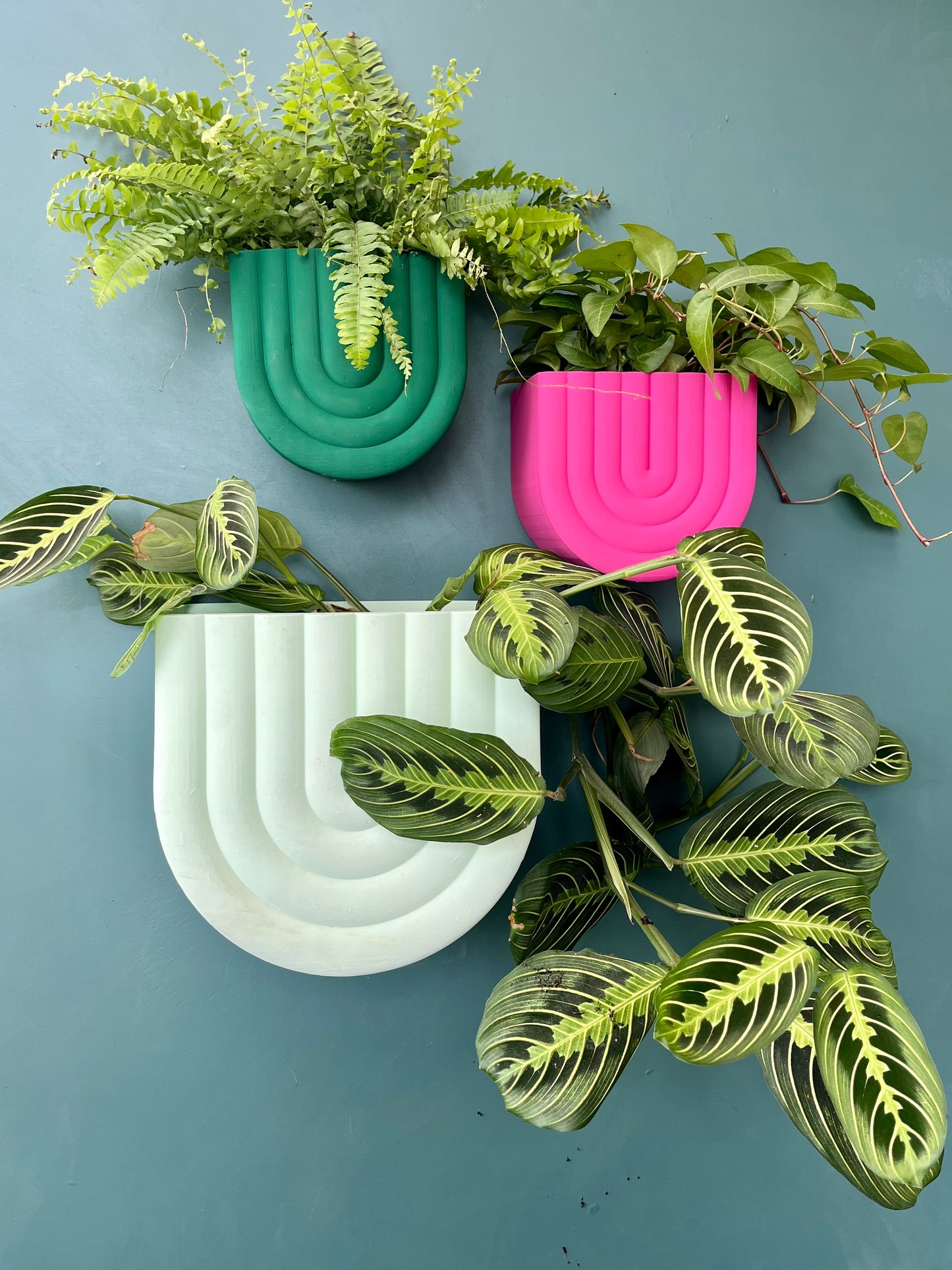 Rainbow Shaped Wall Mounted Plant Pot Indoor