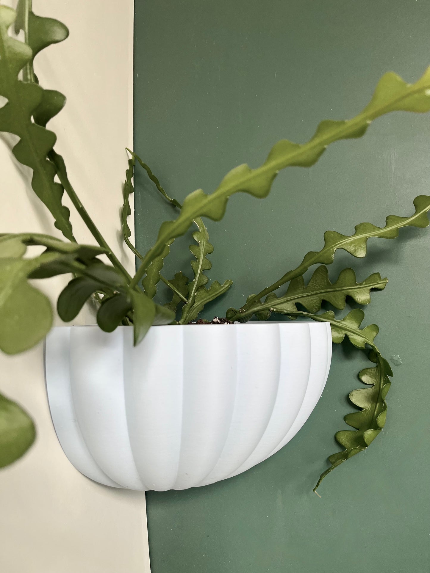 Corner Wall Mounted Plant Pot Fluted Shell Pattern