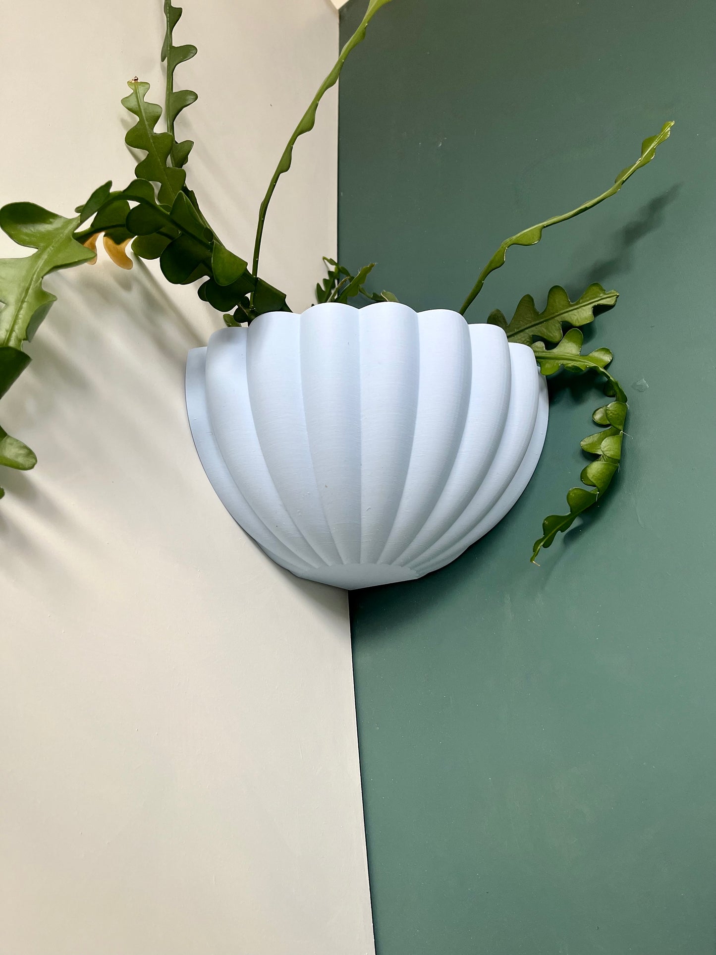 Corner Wall Mounted Plant Pot Fluted Shell Pattern