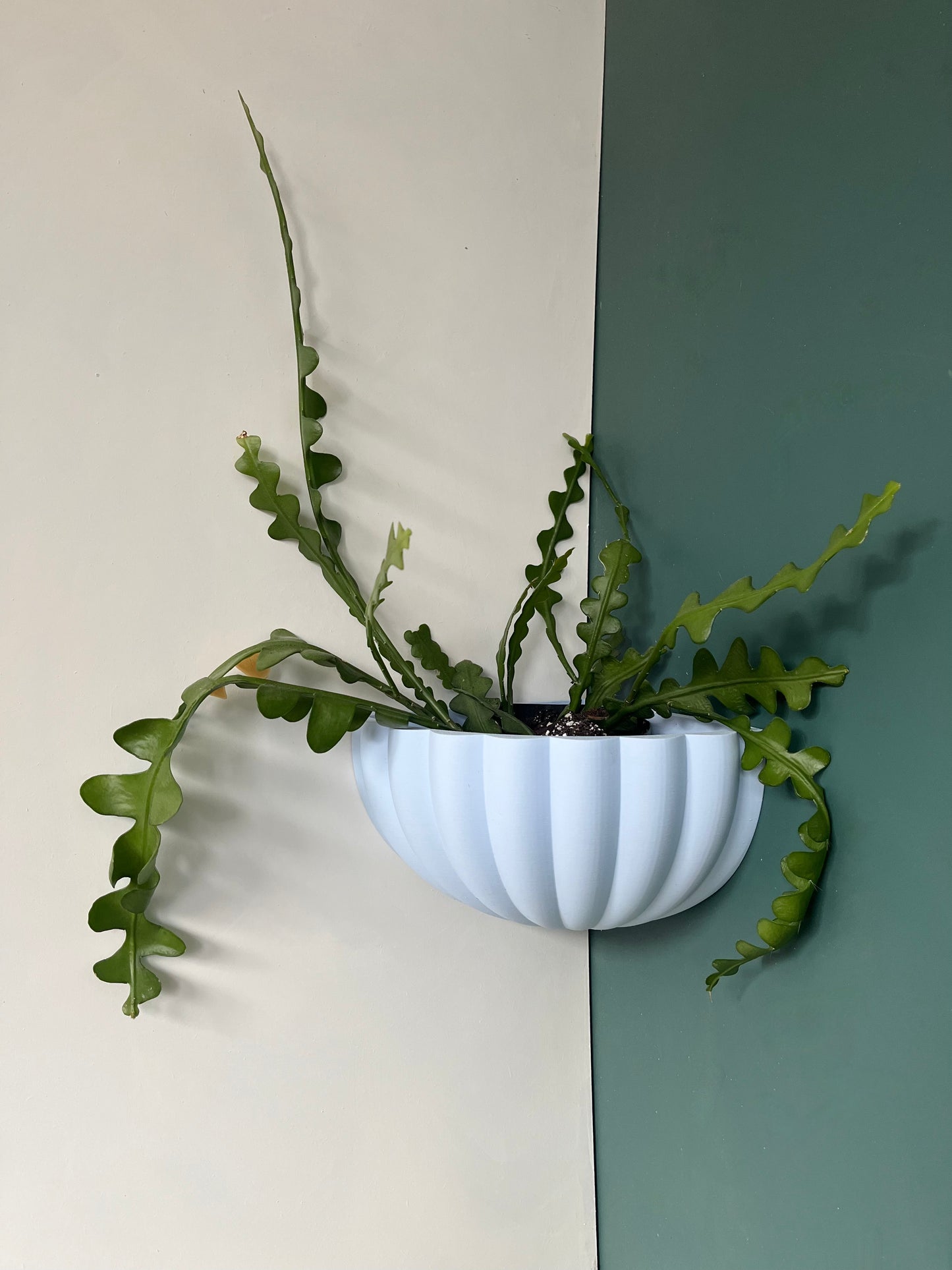 Corner Wall Mounted Plant Pot Fluted Shell Pattern