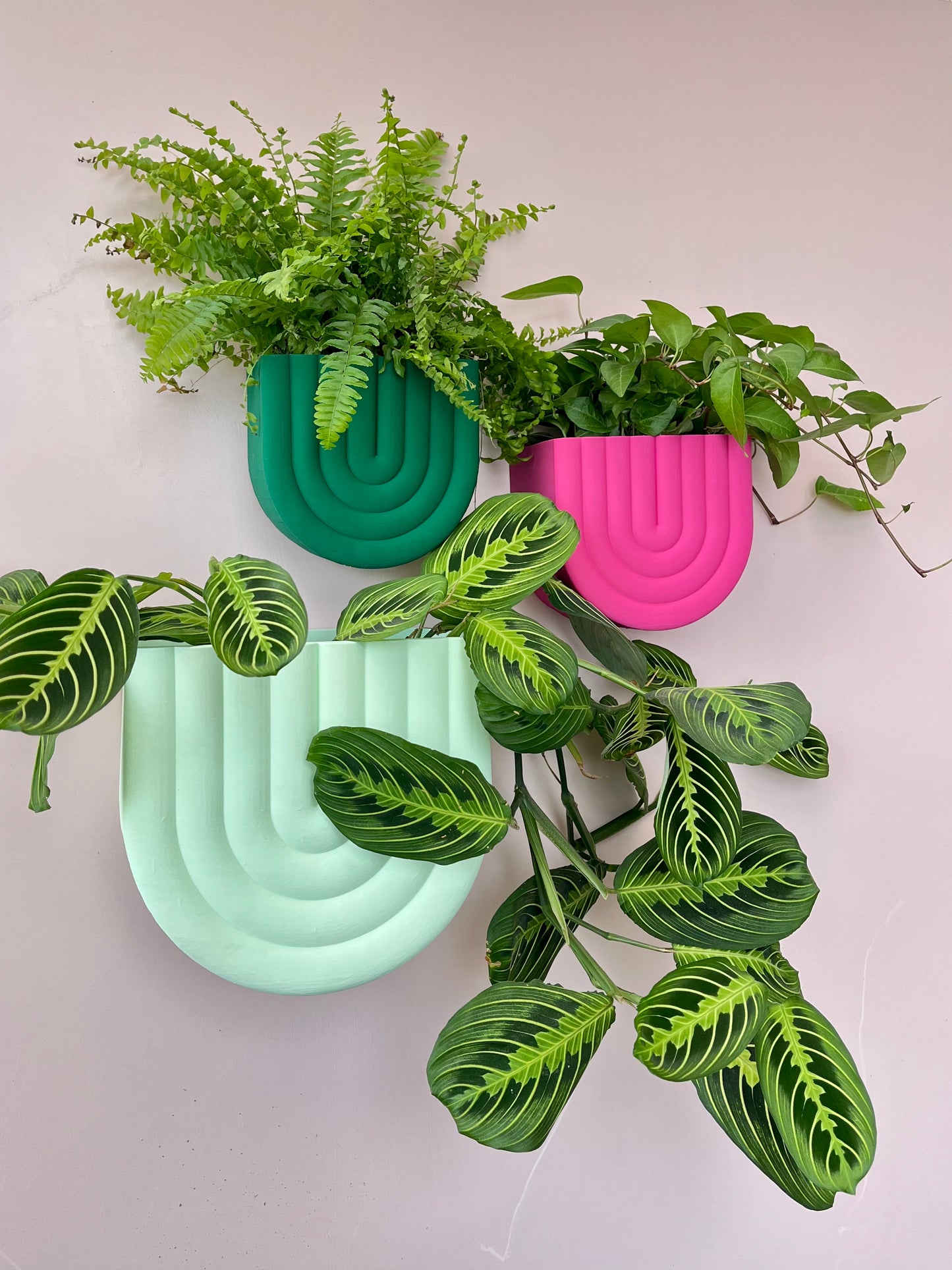 Rainbow Shaped Wall Mounted Plant Pot Indoor