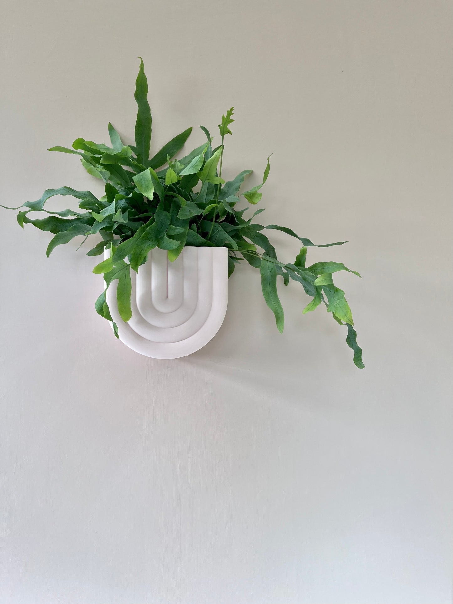 Rainbow Shaped Wall Mounted Plant Pot Indoor