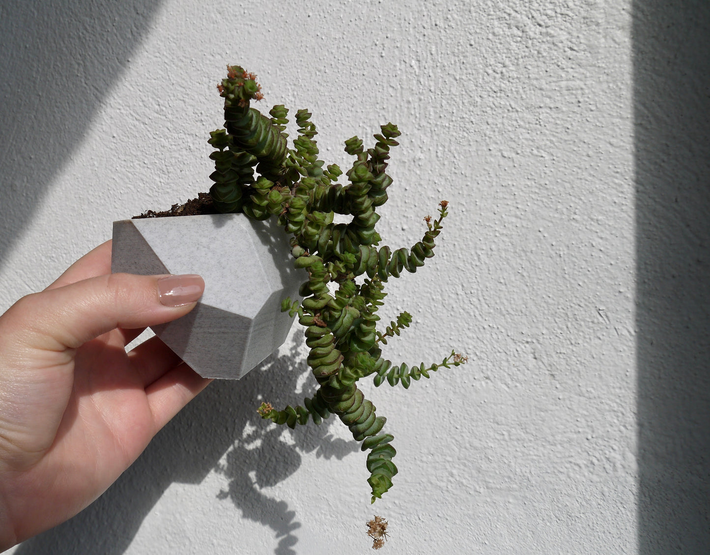 Magnetic Pot