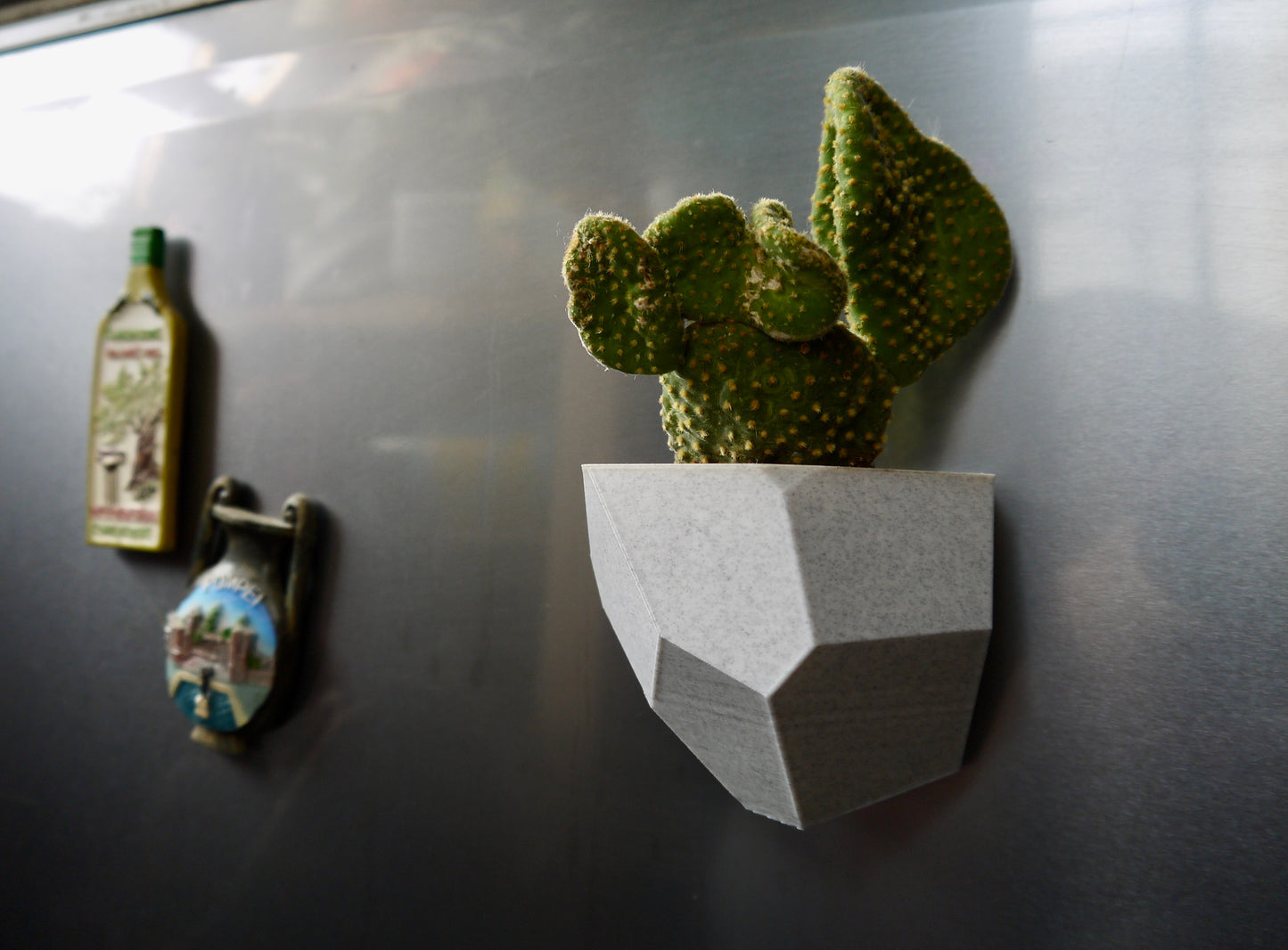 Magnetic Pot