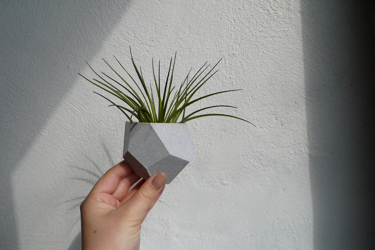 Magnetic Pot