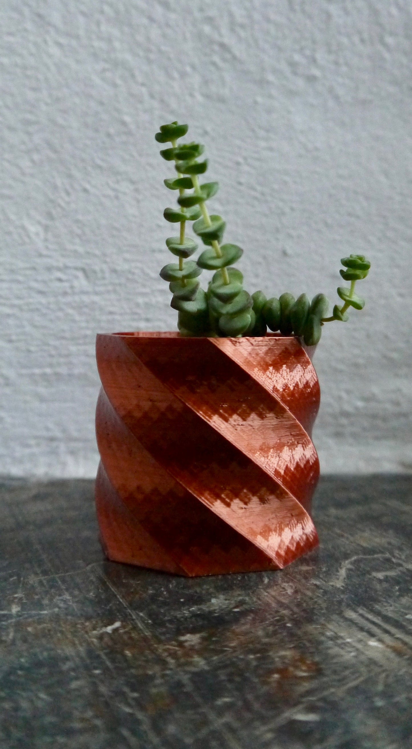 Geometric Twisted Plant Pot