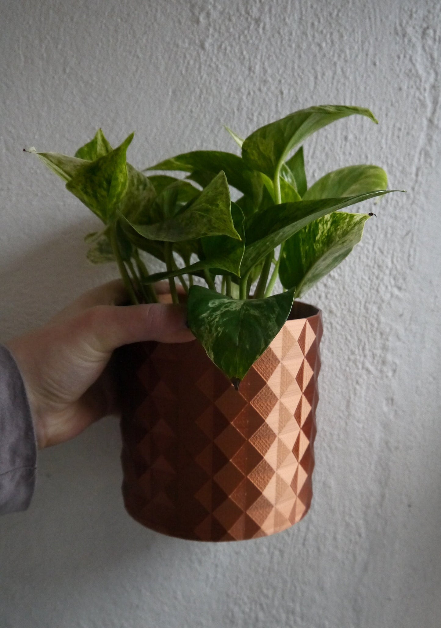 Geometric Spike Textured Plant Pot