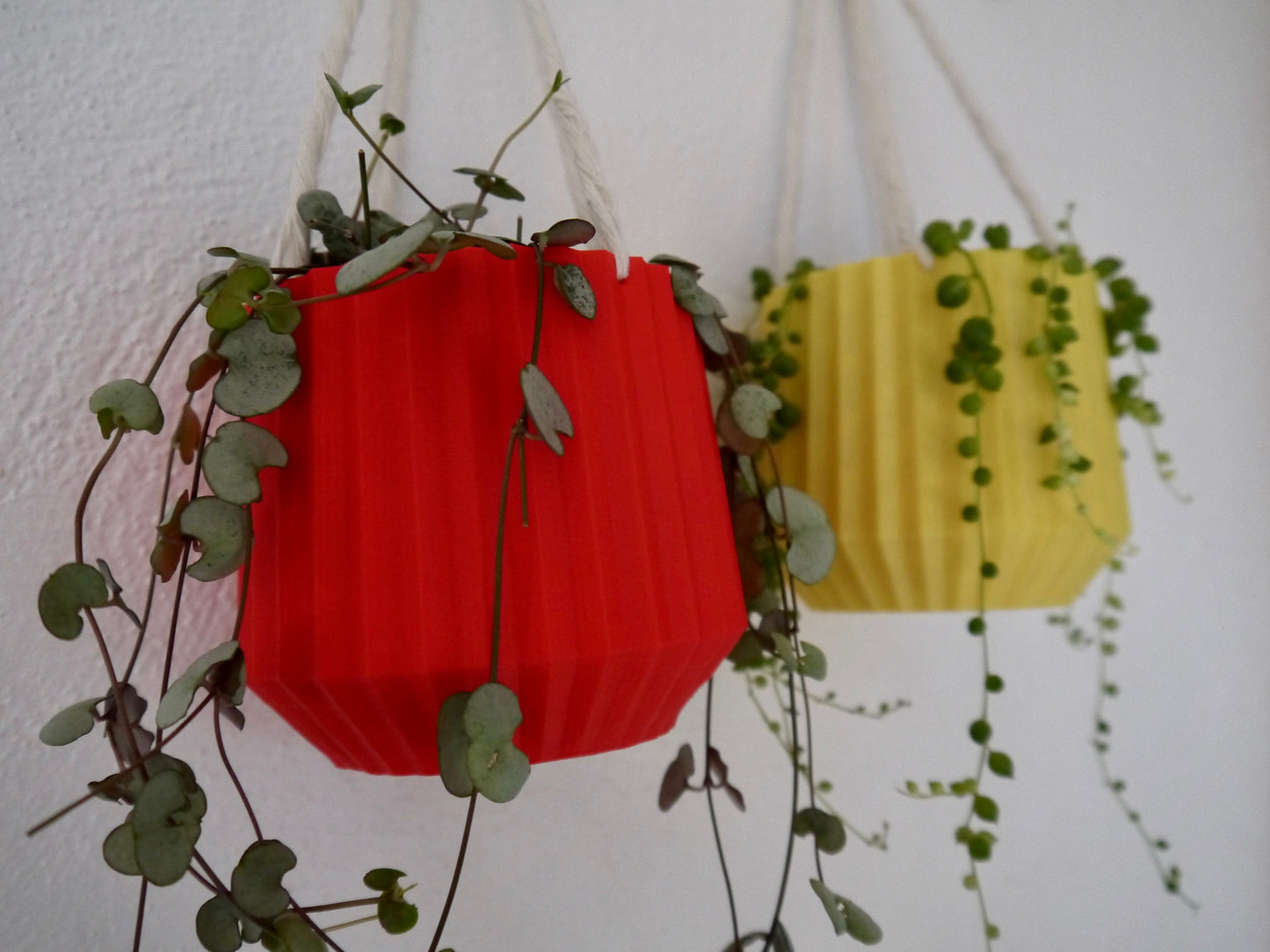 Hanging Plant Pot