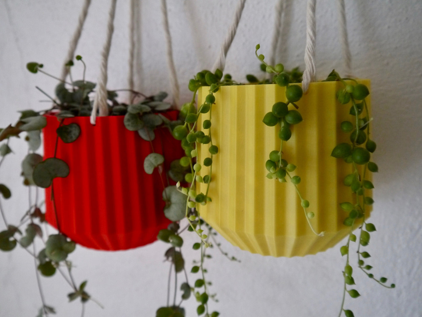 Hanging Plant Pot