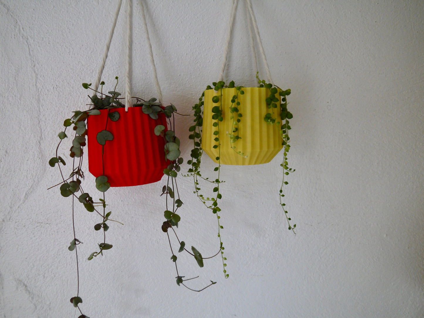 Hanging Plant Pot