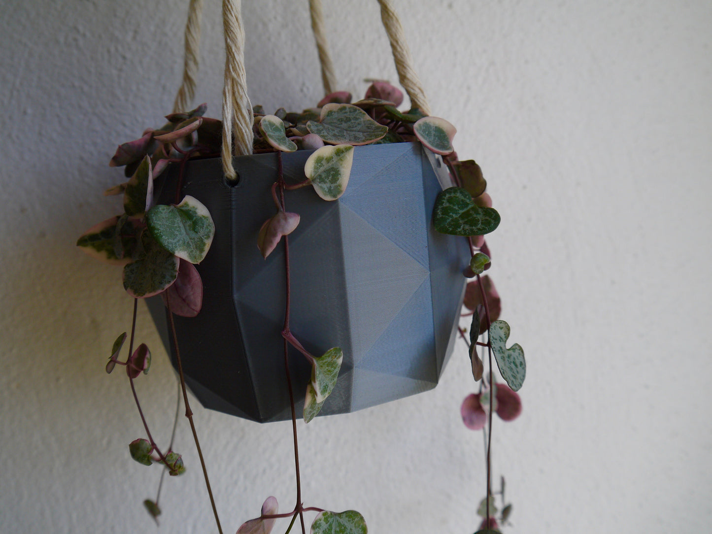 Hanging Plant Pot