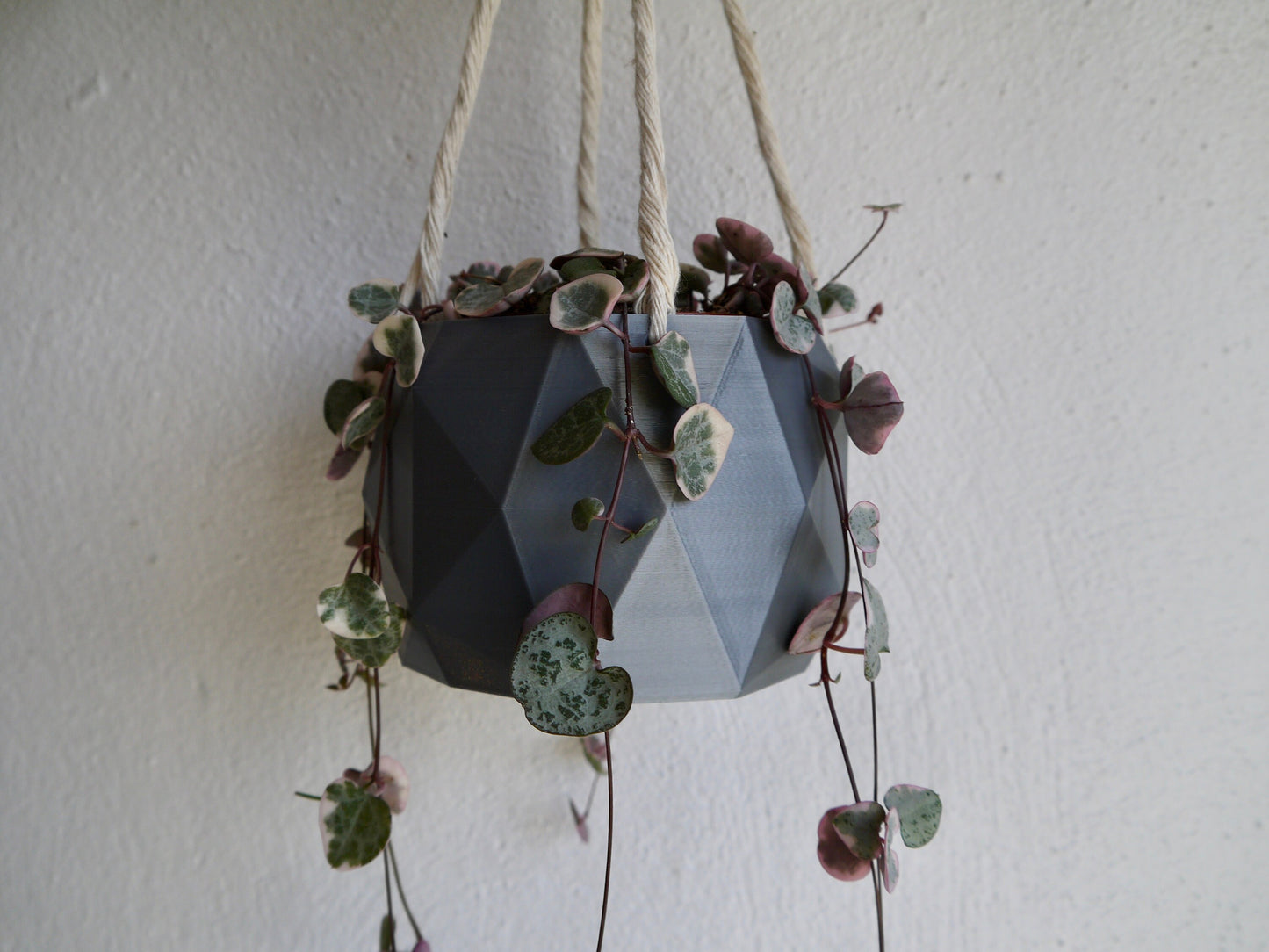 Hanging Plant Pot