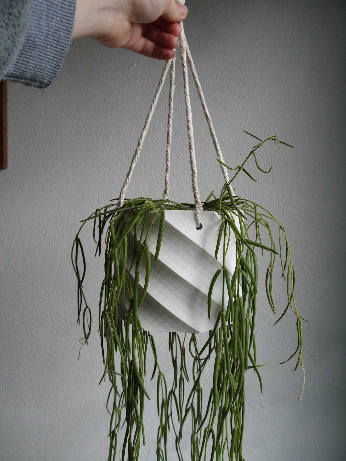 Hanging Twist Plant Pot