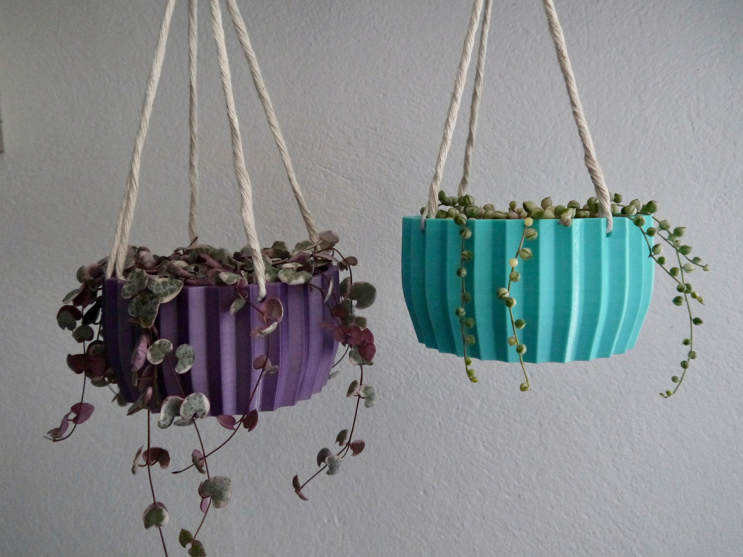 Shallow Succulent Hanging Plant Pot