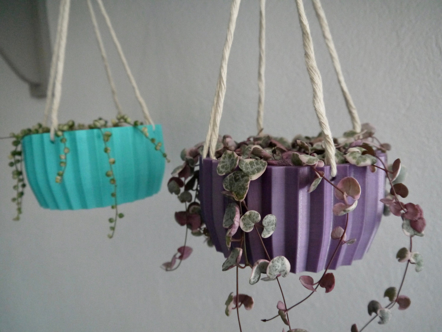 Shallow Succulent Hanging Plant Pot