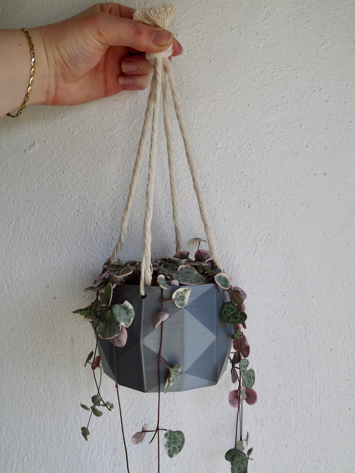 Hanging Plant Pot