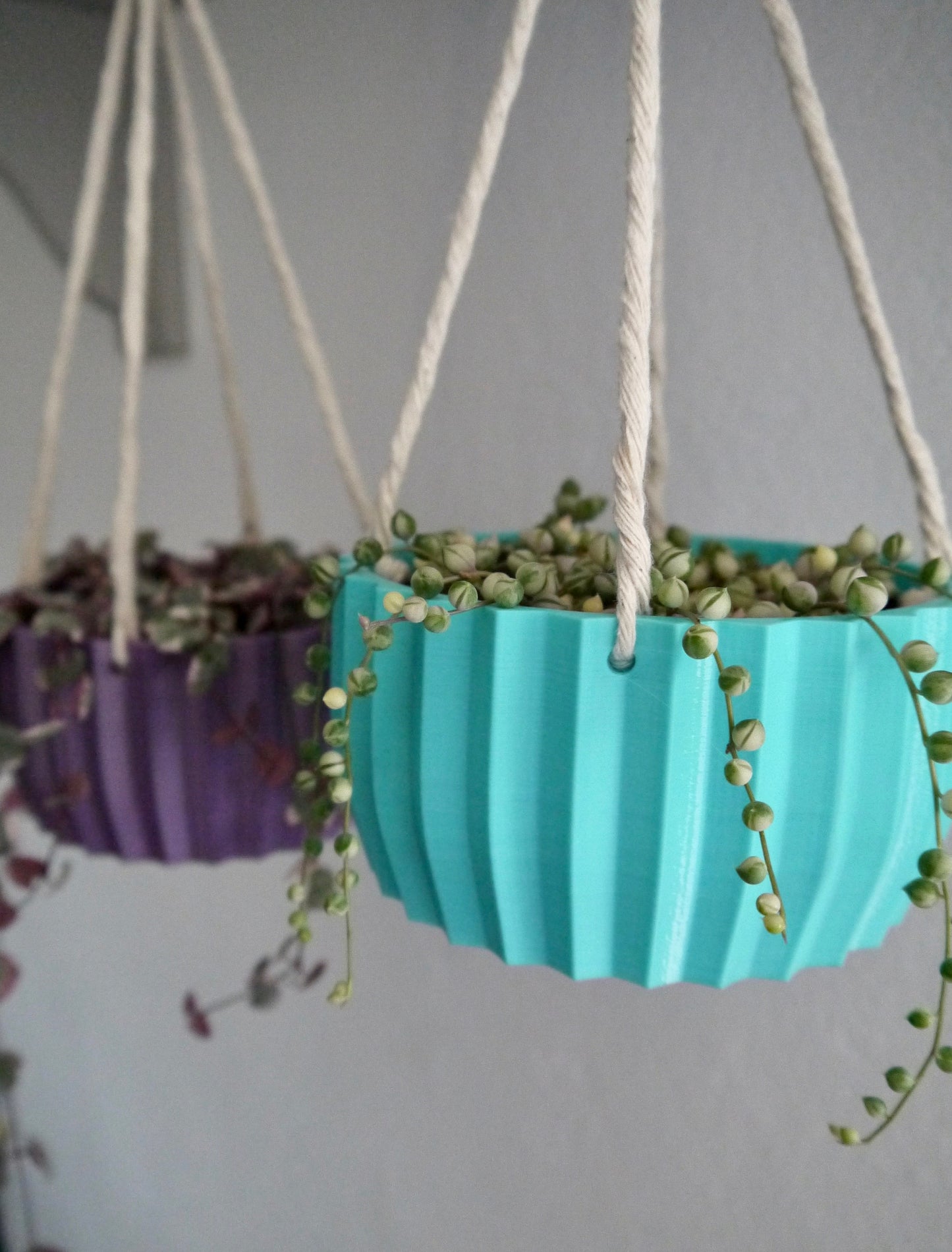 Shallow Succulent Hanging Plant Pot