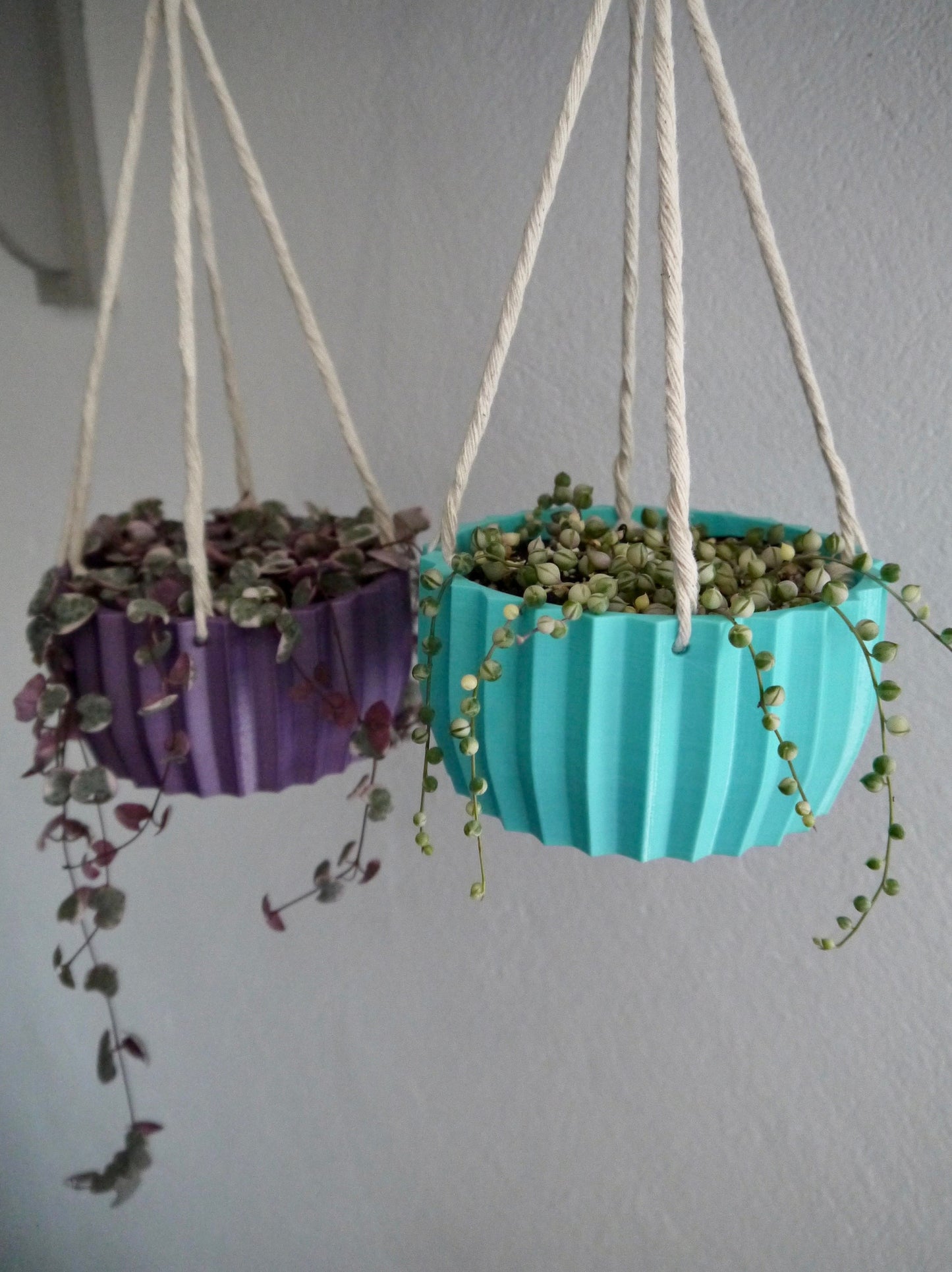 Shallow Succulent Hanging Plant Pot